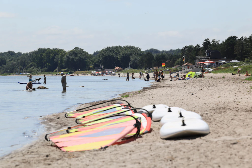 Drei Fälle, ein Toter: Diese Bakterien lauern im warmen Ostsee-Wasser