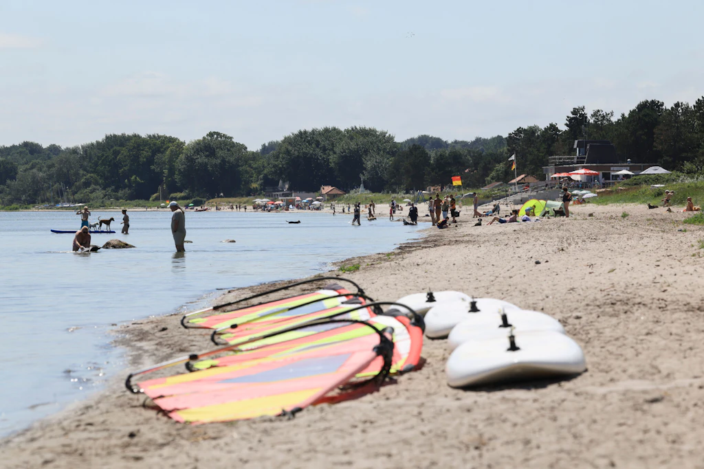 Infektionsgefahr in der Ostsee: Was Sie über Vibrionen wissen müssen