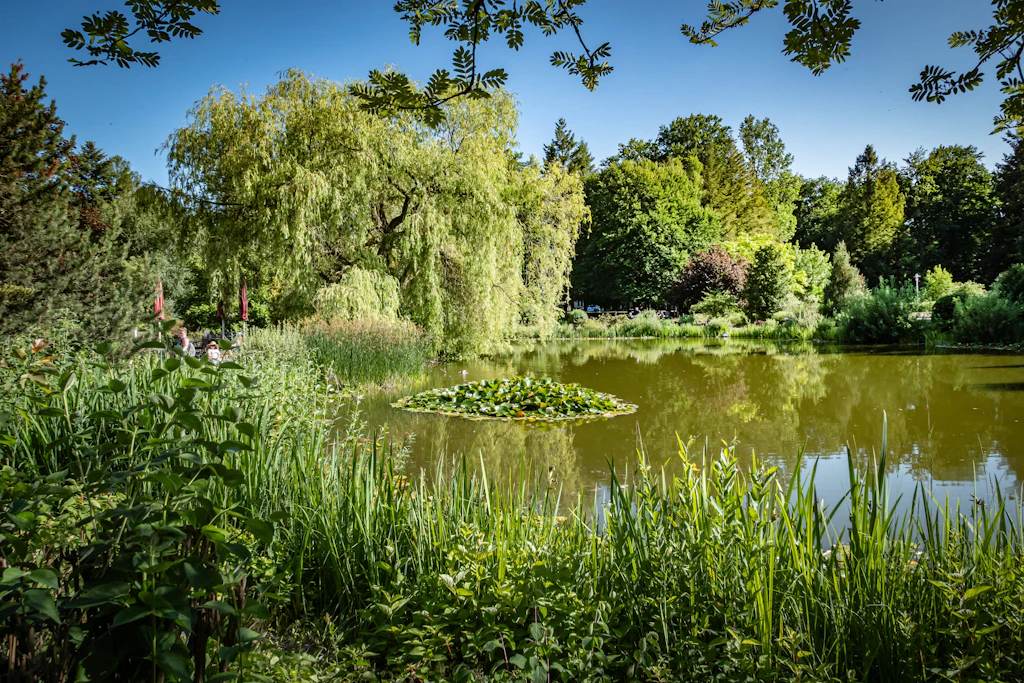 Wo einst die SED-Führung abgeschottet lebte, laden heute Teich und Parkgelände der Brandenburgklinik zum Spaziergang: Die Waldsiedlung Wandlitz ist frei zugänglich.