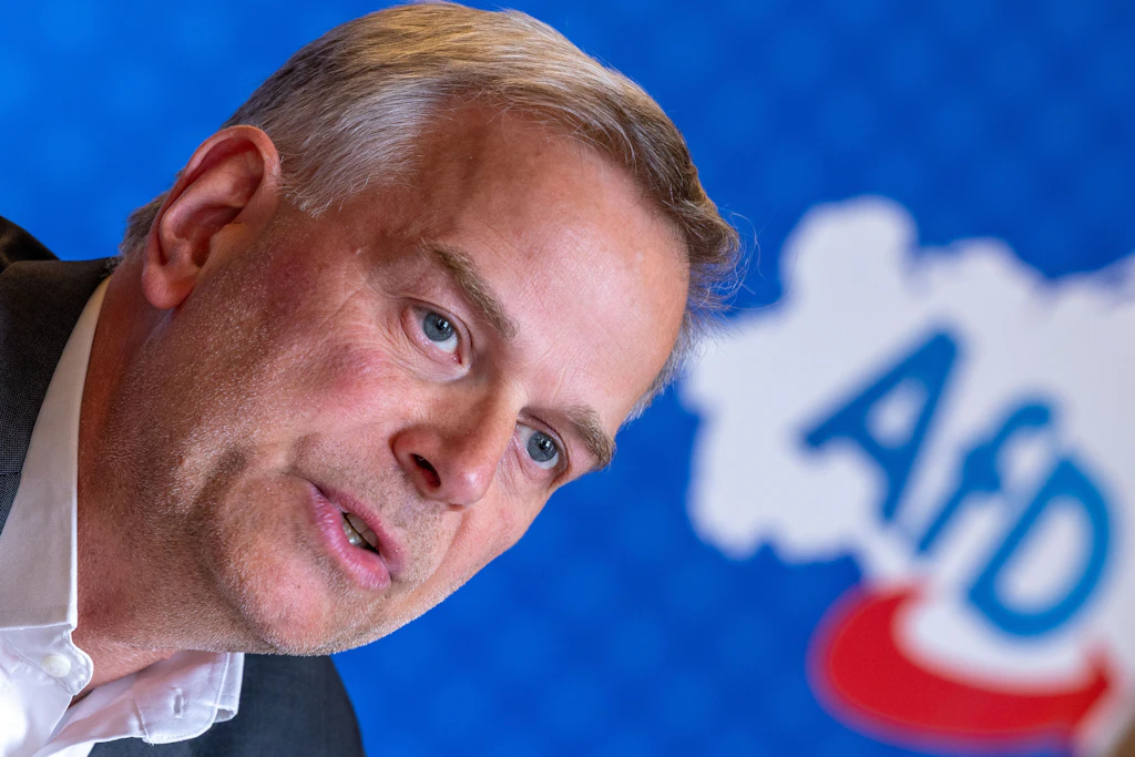 Die AfD von Leif-Erik Holm führt in den Umfragen.