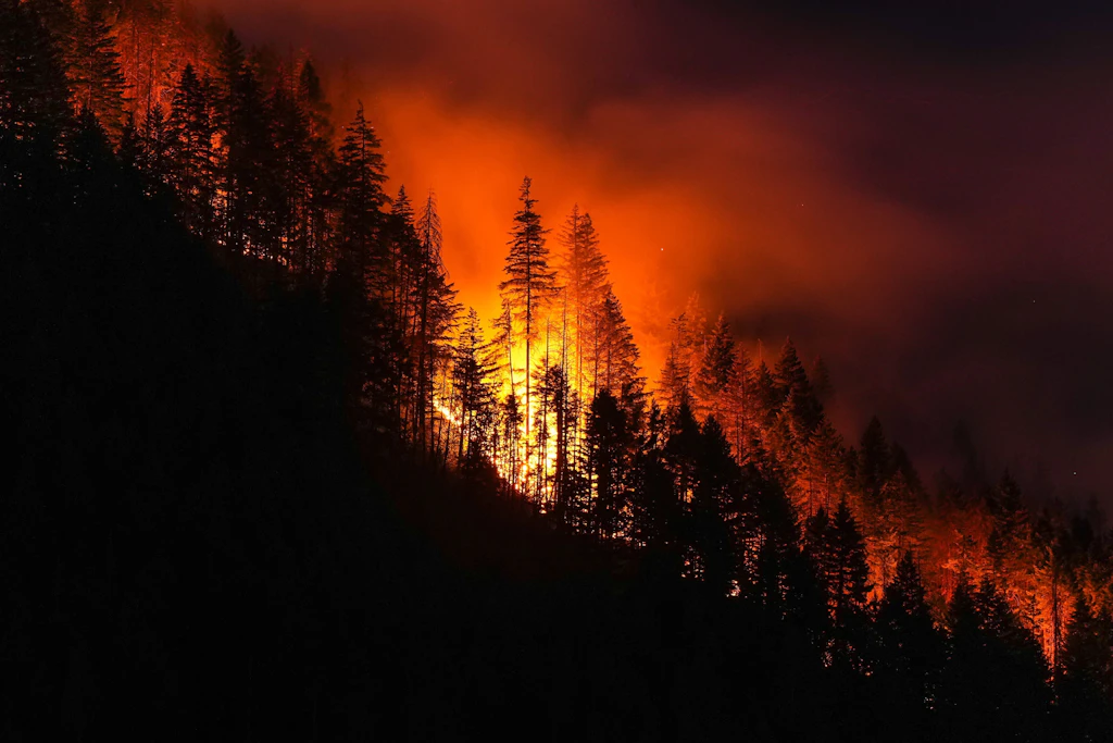 Waldbrände wüteten etwa in der kanadischen Provinz British Columbia.