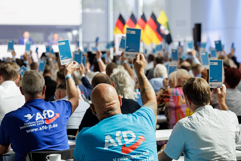 Mitglieder heben ihre Stimmkarte während des Landesparteitages der AfD in Sachsen-Anhalt.