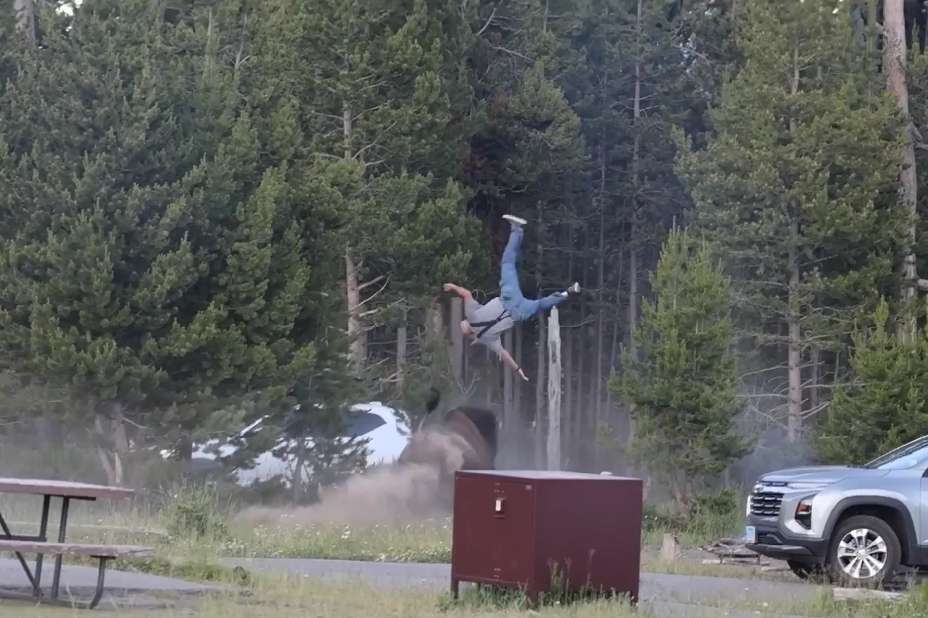 Irre Bilder zeigen, wie ein Tourist im Yellowstone Nationalpark von einem Bison in die Luft geworfen wird.