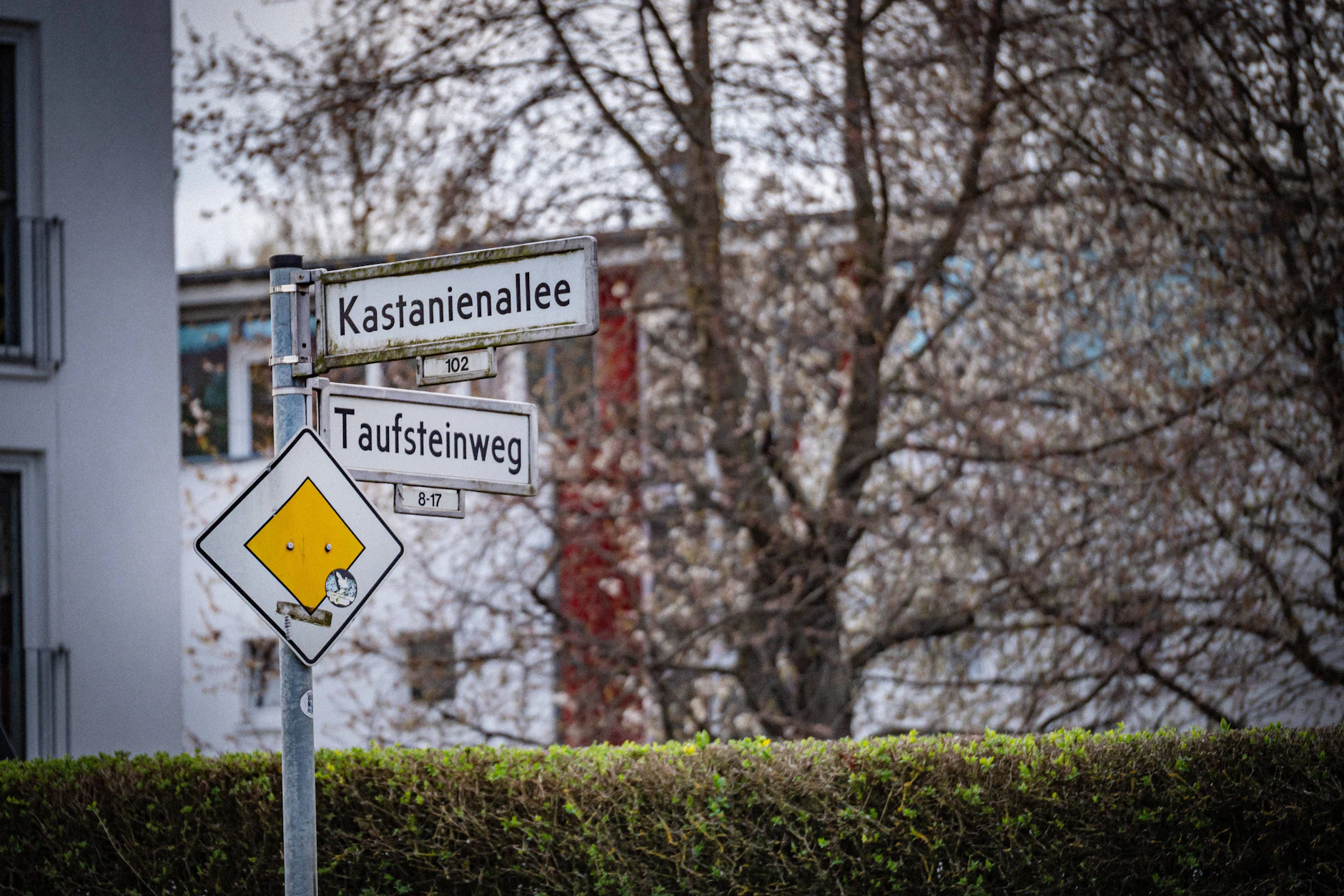 Die Kastanienallee in Rosenthal ist ab Taufsteinweg gesperrt.