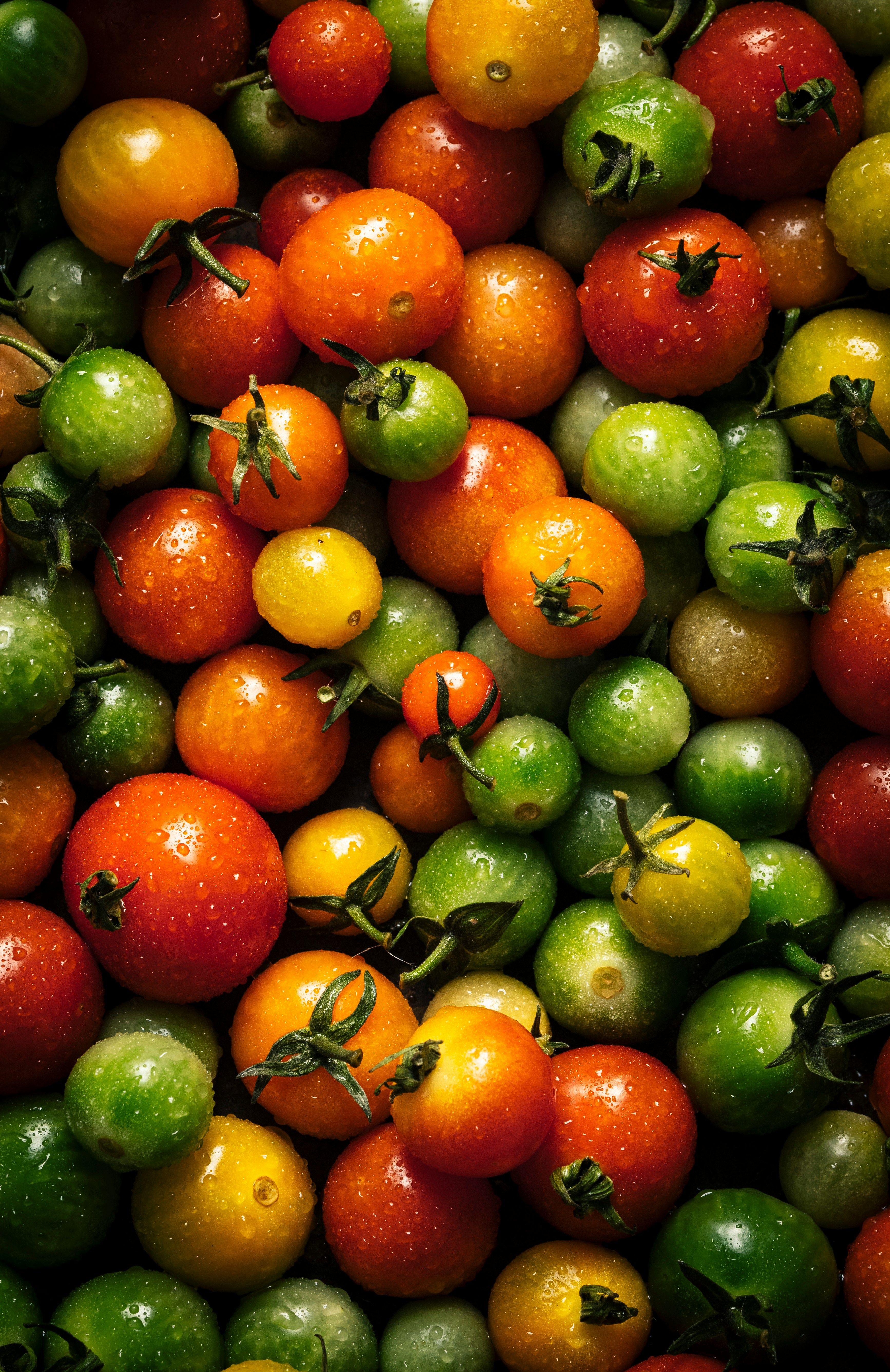 Das unterschätzte Gemüse: Warum jetzt die beste Zeit für Tomaten ist