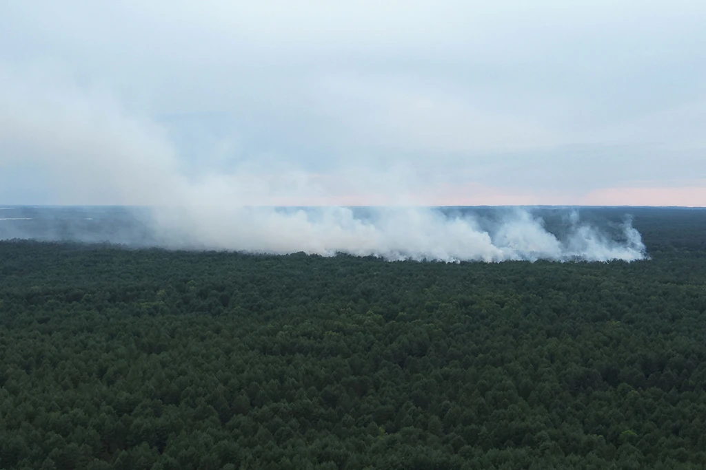 Rauch steigt bei dem Feuer im Müritz-Nationalpark auf.