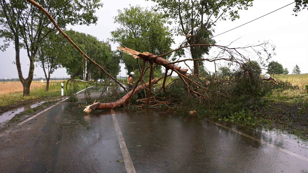 Unwetter in MV: Verletzte, Seenotfälle und zahlreiche umgestürzte Bäume