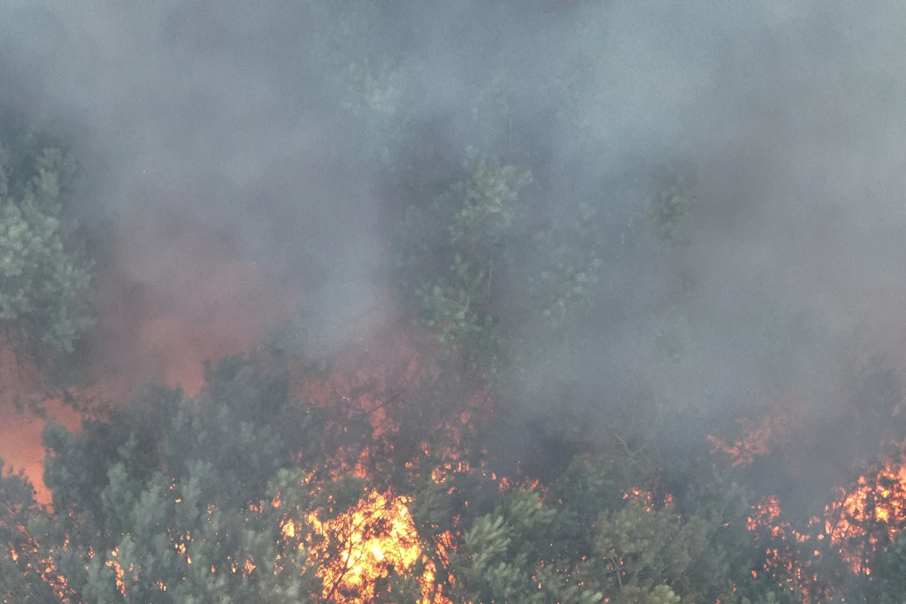 Rauch steigt bei einem Feuer im Müritz-Nationalpark auf.