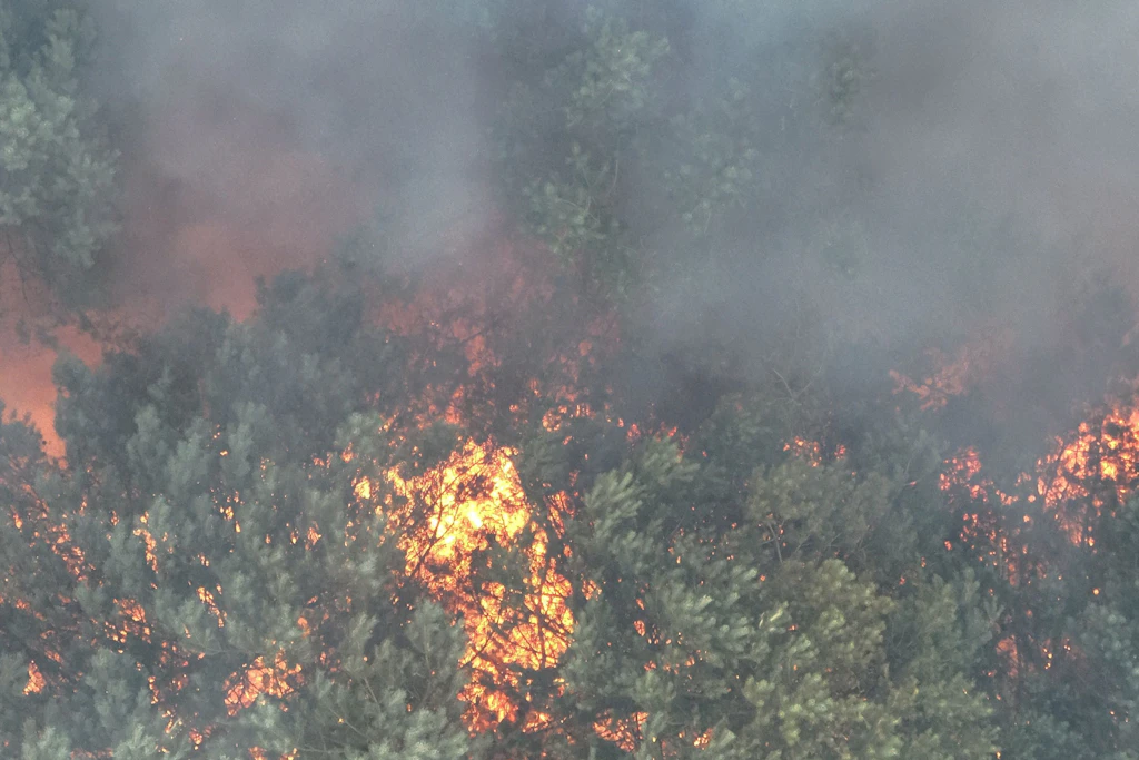 Großer Waldbrand im Müritz-Nationalpark besteht weiter: Granzin wird erneut evakuiert