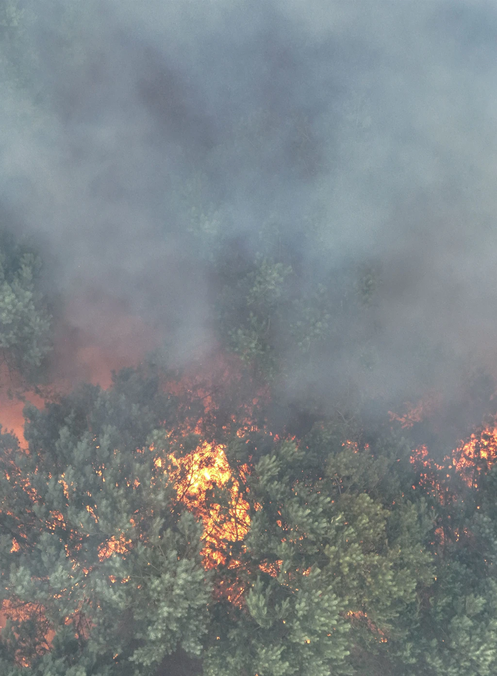 Großer Waldbrand im Müritz-Nationalpark besteht weiter: Granzin wird erneut evakuiert