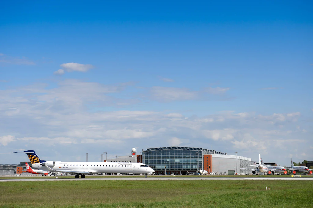 Der Verkehr am Flughafen Dresden musste wegen des tierischen Besuchers kurzzeitig unterbrochen werden.