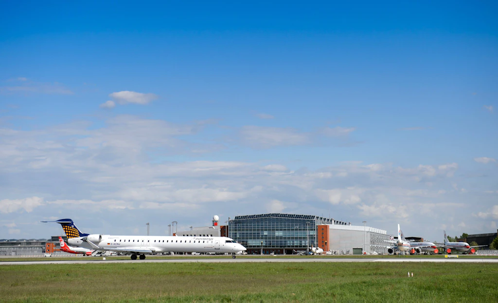 Hase sorgt für Chaos am Dresdner Flughafen