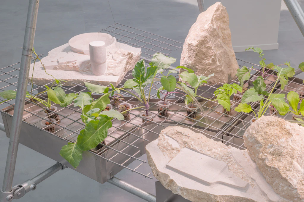 Ausstellungsansicht der Installation von Lucy König