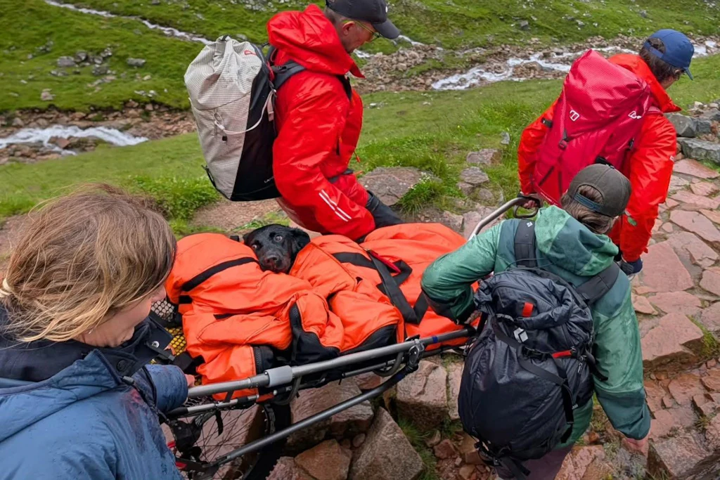 Bergretter vom „Lochaber Mountain Rescue Team“&nbsp; tragen Hündin Tokyo, die offenbar Cannabis gefressen hatte.