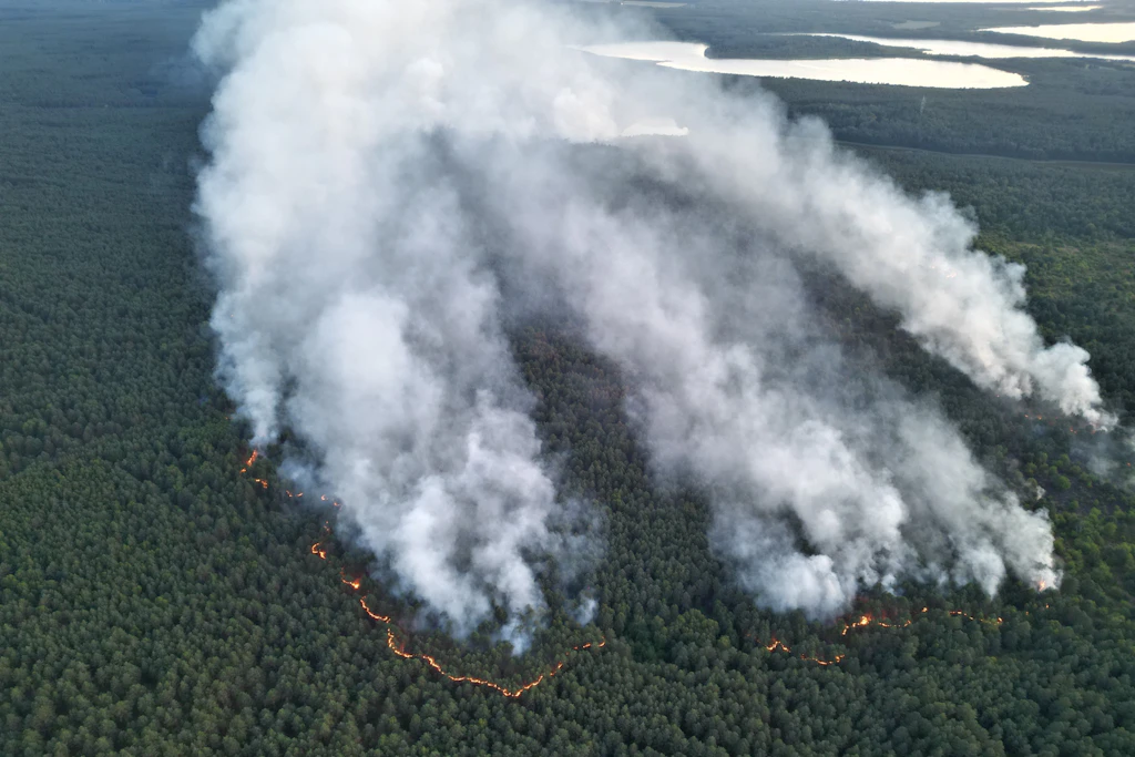 Waldbrand im Müritz Nationalpark: Warum sind die Löscharbeiten so schwierig?