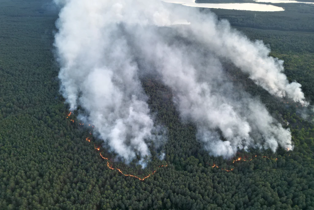 Der Großbrand im Müritz-Nationalpark breitet sich weiter aus.
