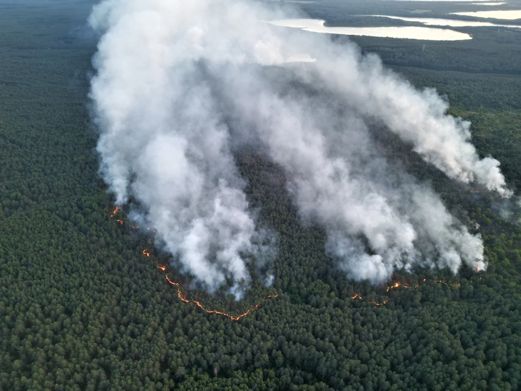 Waldbrand im Müritz Nationalpark: Warum sind die Löscharbeiten so schwierig?