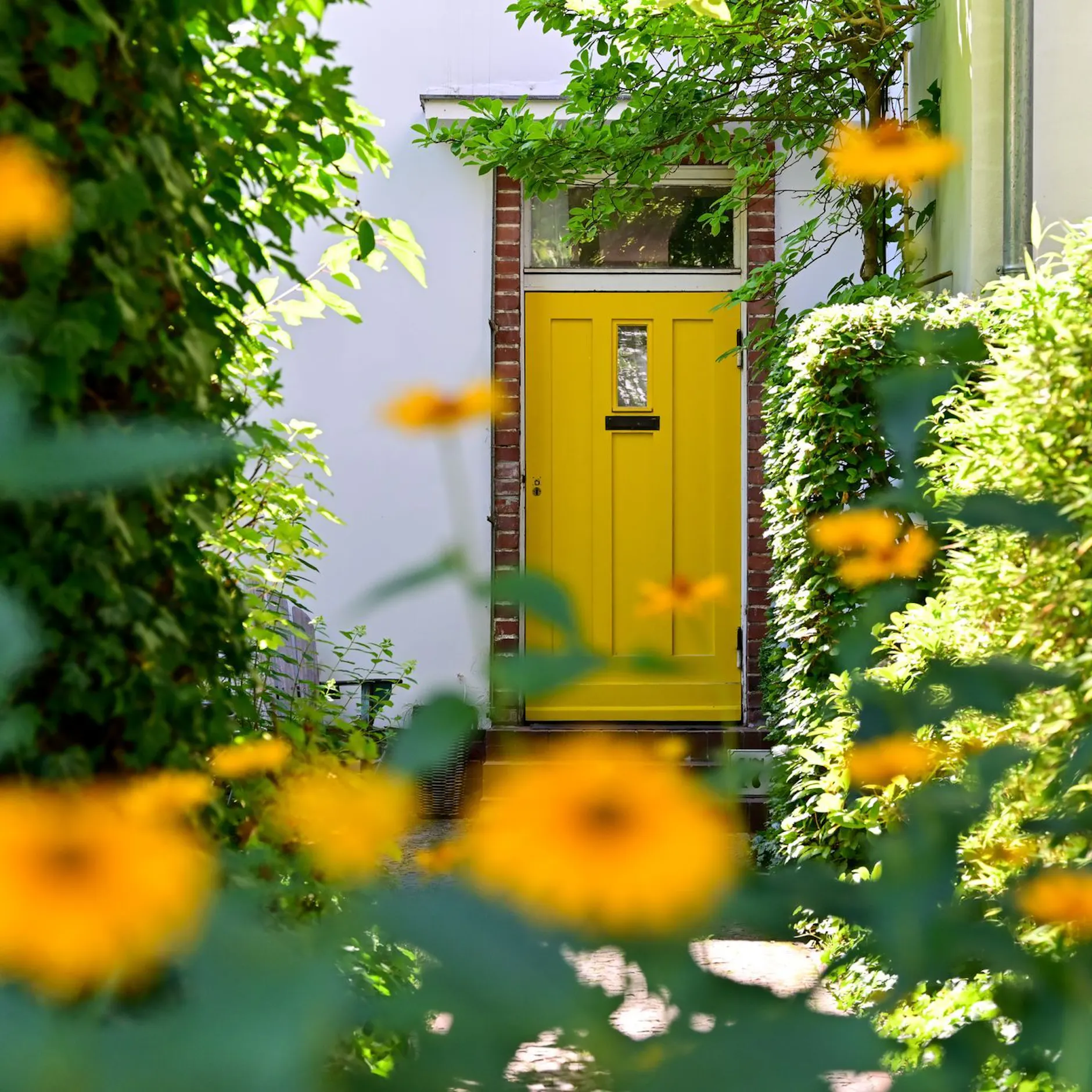 Image - Frisch gekürt! Diese Berliner Siedlung ist jetzt ein Weltschatz