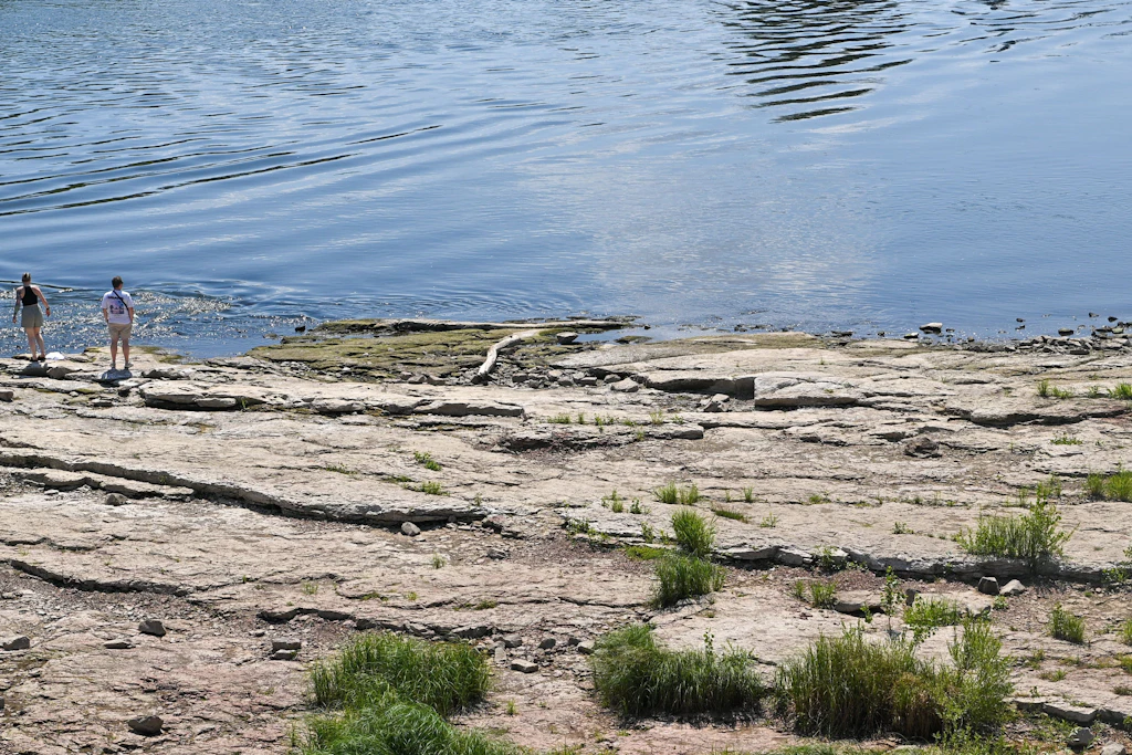 Die Elbe fließt in Magdeburg an dem trocken liegenden Domfelsen vorbei.