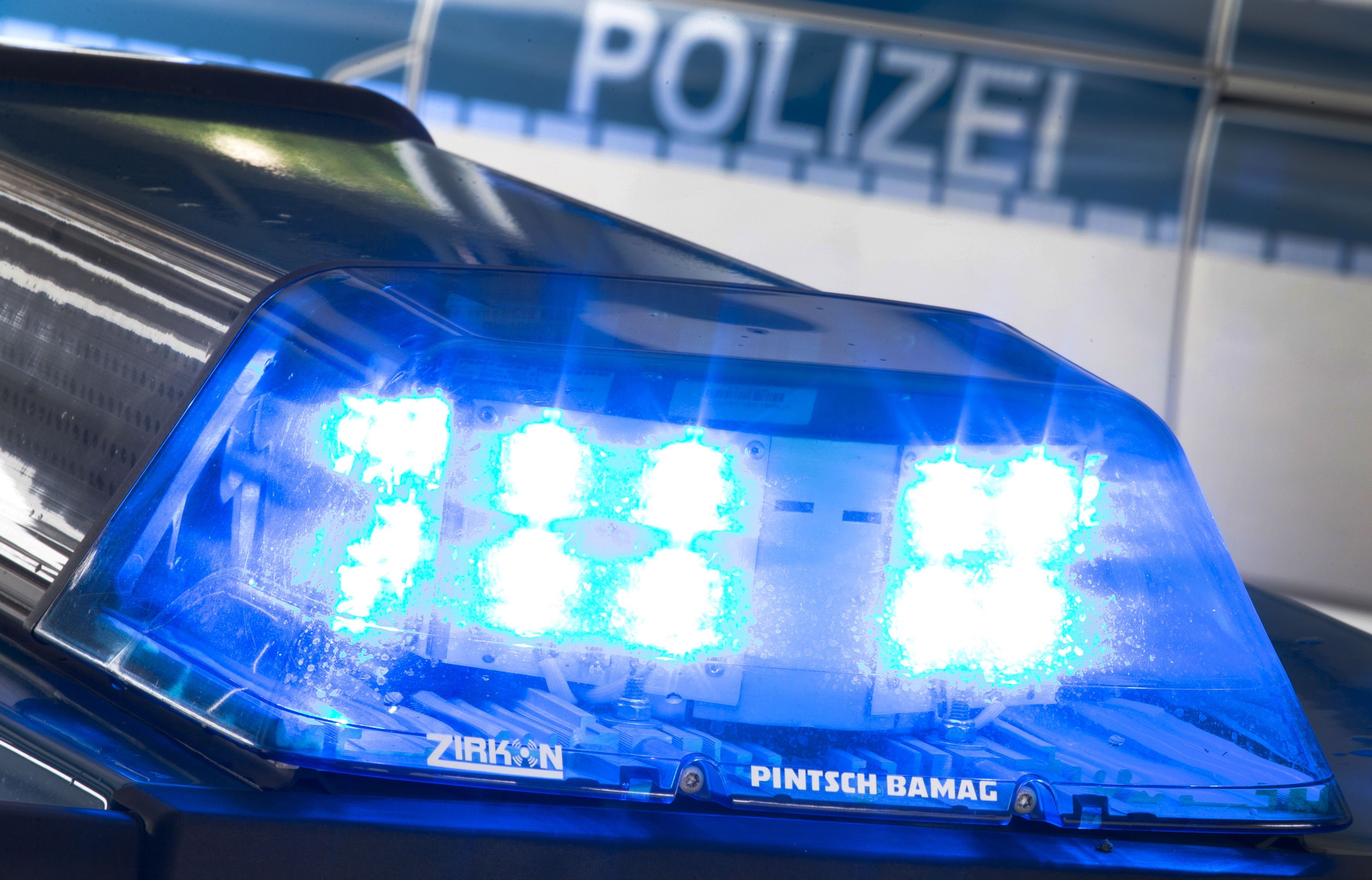 Frauenzentrum in Dresden: Unbekannter legt aufgeschlitzte Ratte in Briefkasten
