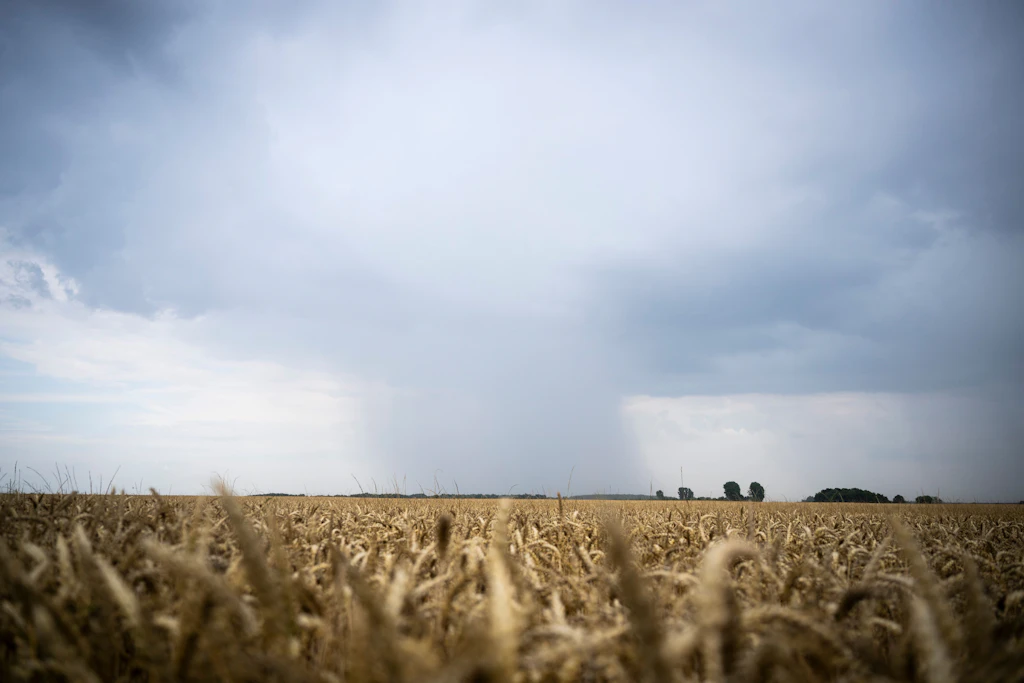In Mecklenburg-Vorpommern sind laut Vorhersage lokal auch Unwetter möglich.