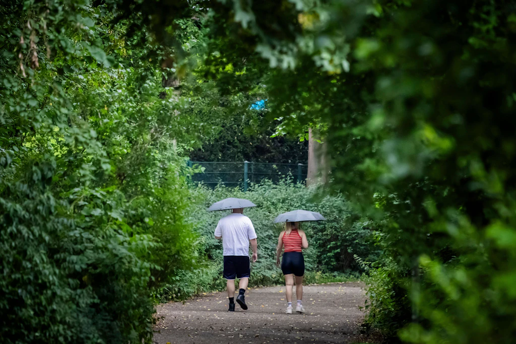Spaziergänger gehen mit Regenschirmen am Schlachtensee spazieren.