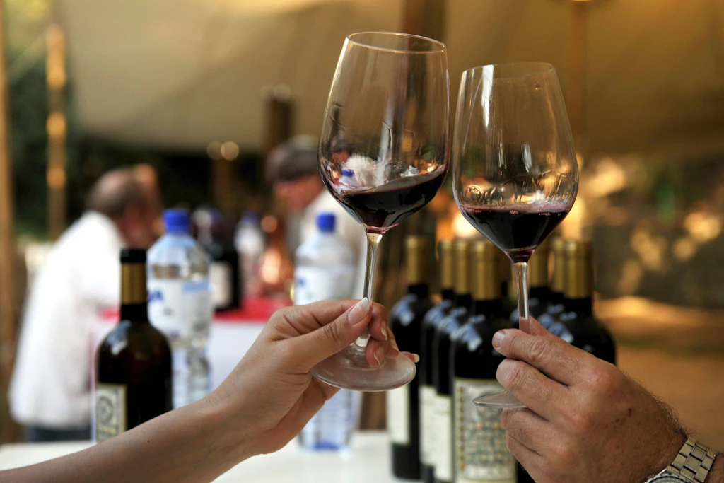 Meißen, Radebeul, Berlin: Diese Adressen erobern das deutsche Weinbar-Ranking 2026
