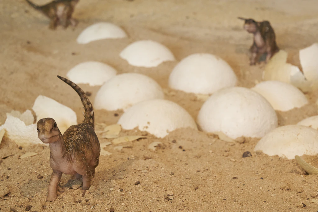 T-rex-Baby wog 1,7 Kilo – und riss trotzdem schon große Beute