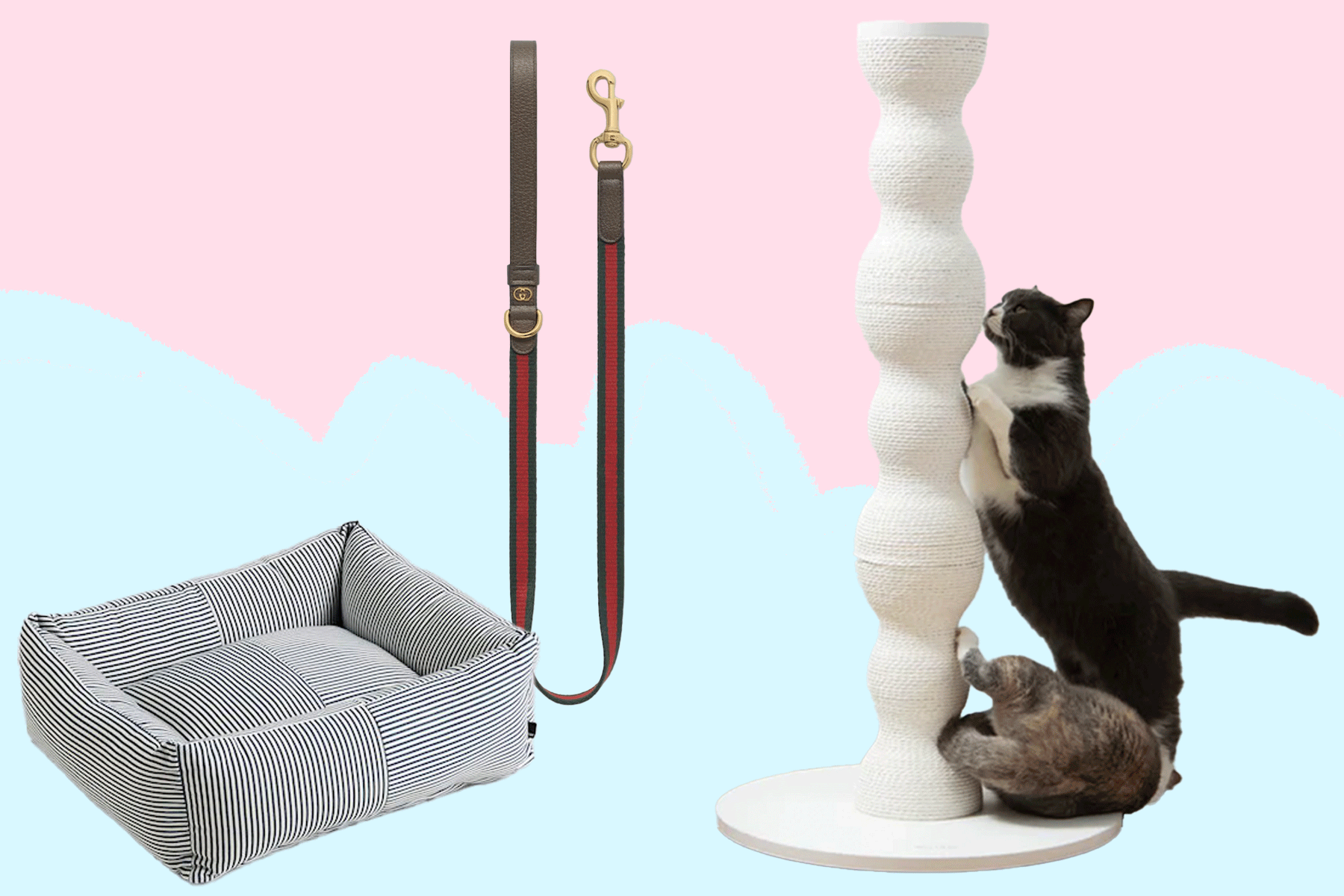 Design für Fellnasen: Fünf stilvolle Tier-Accessoires, die auch Menschen gefallen