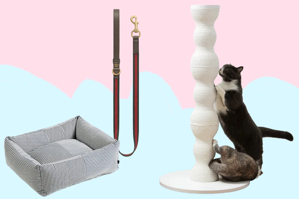 Design für Fellnasen: Fünf stilvolle Tier-Accessoires, die auch Menschen gefallen