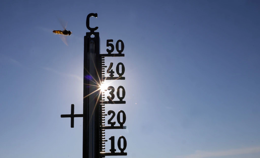 Klimawandel-Skepsis in Deutschland: 59 Prozent der Befragten zeigen Zweifel