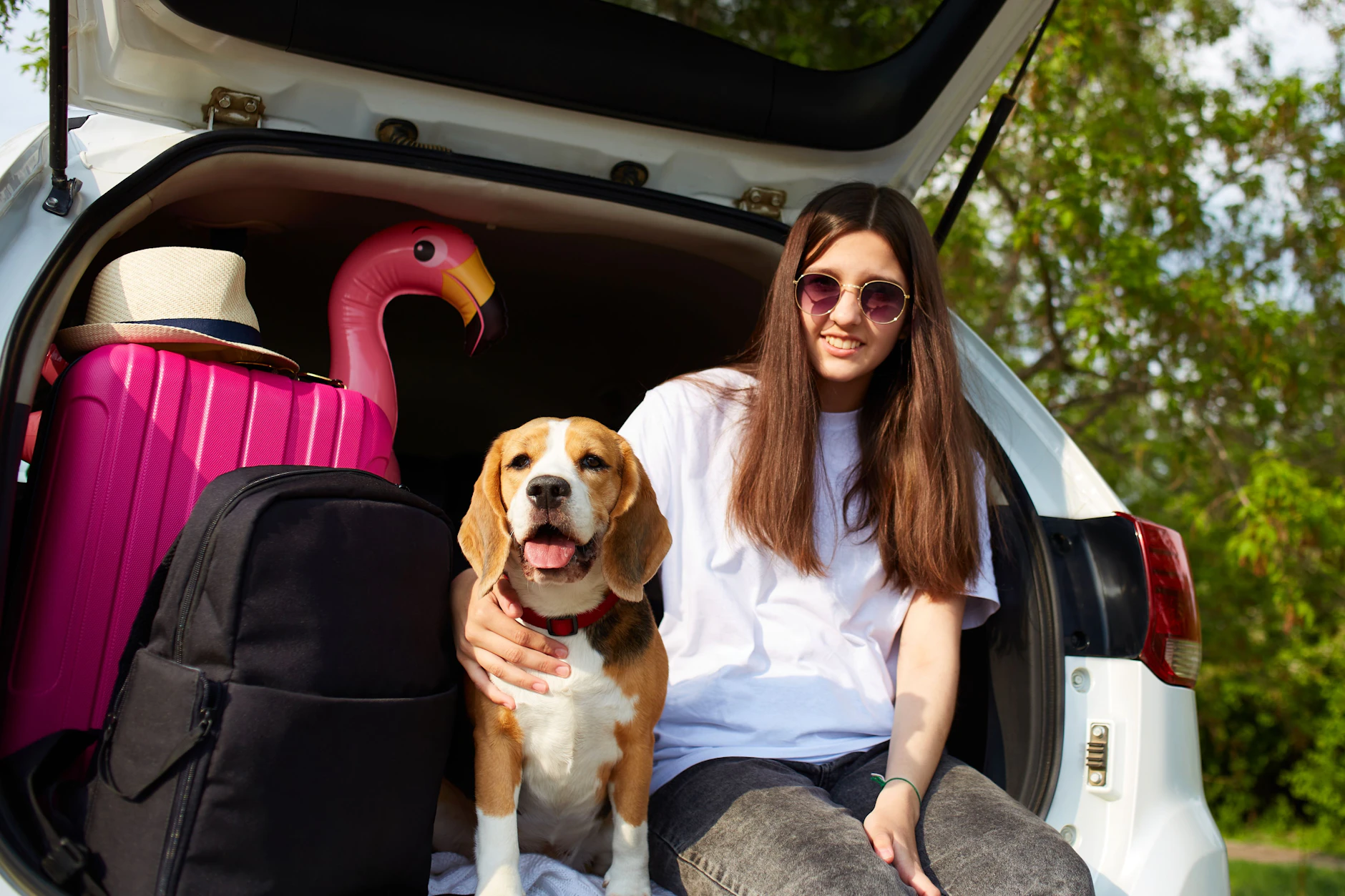 Für einen Auto-Urlaub mit Hund will einiges bedacht und eingepackt werden. Wichtig ist natürlich auch die Wahl des richtigen Reiseziels. Hier freut sich ein Beagle auf die Tour.