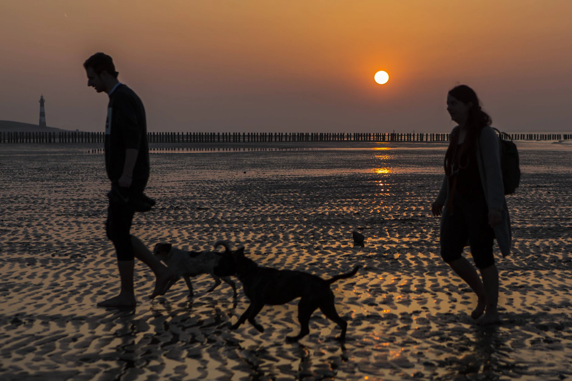 Hundebesitzer sind mit ihren Tieren im Sonnenuntergang am Strand von Breskens (Niederlande) unterwegs.