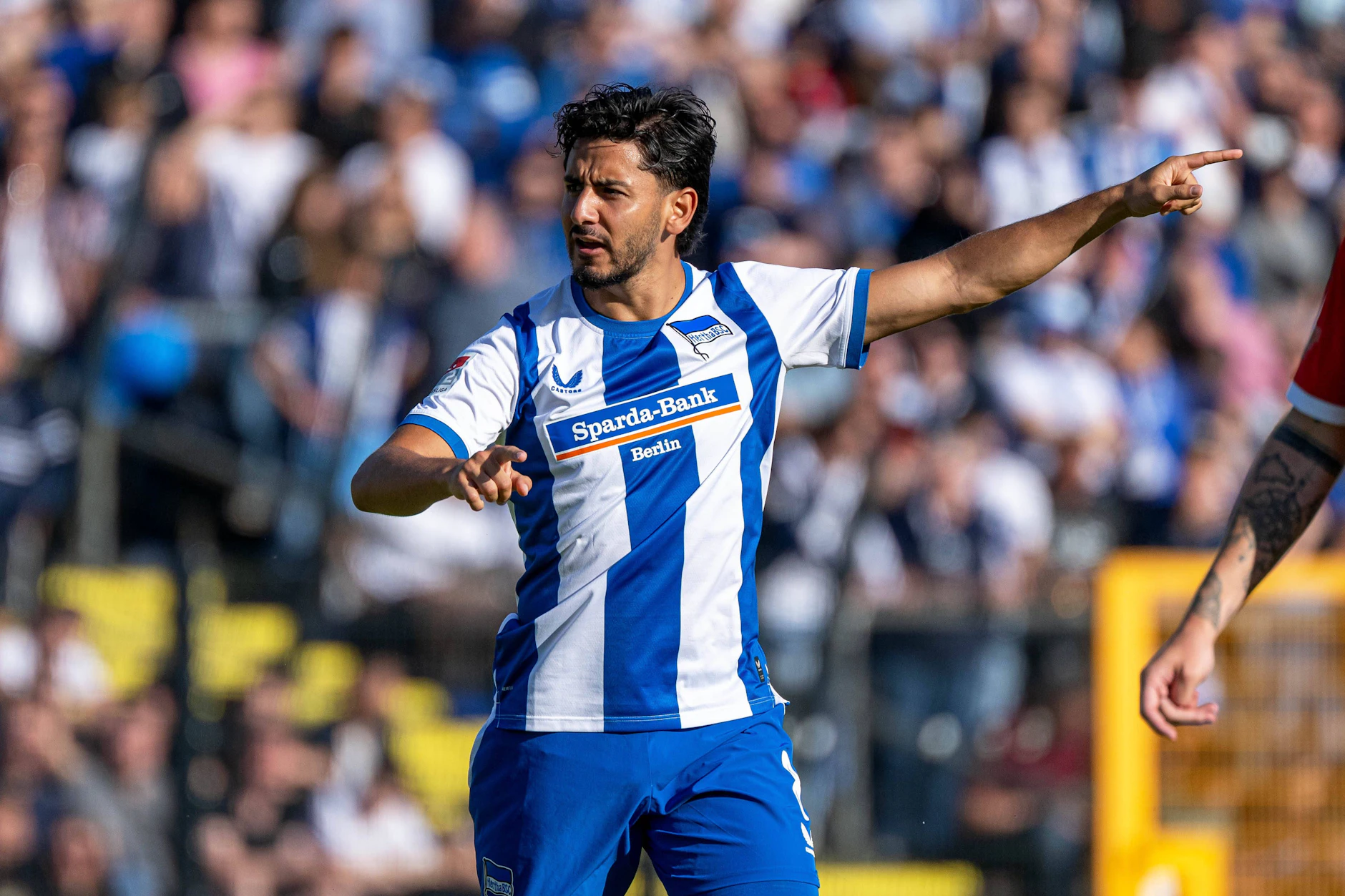 Kevin Sessa trumpft gerade bei Hertha BSC in der Sommervorbereitung auf. Wird sein drittes blau-weißes Jahr endlich gut?