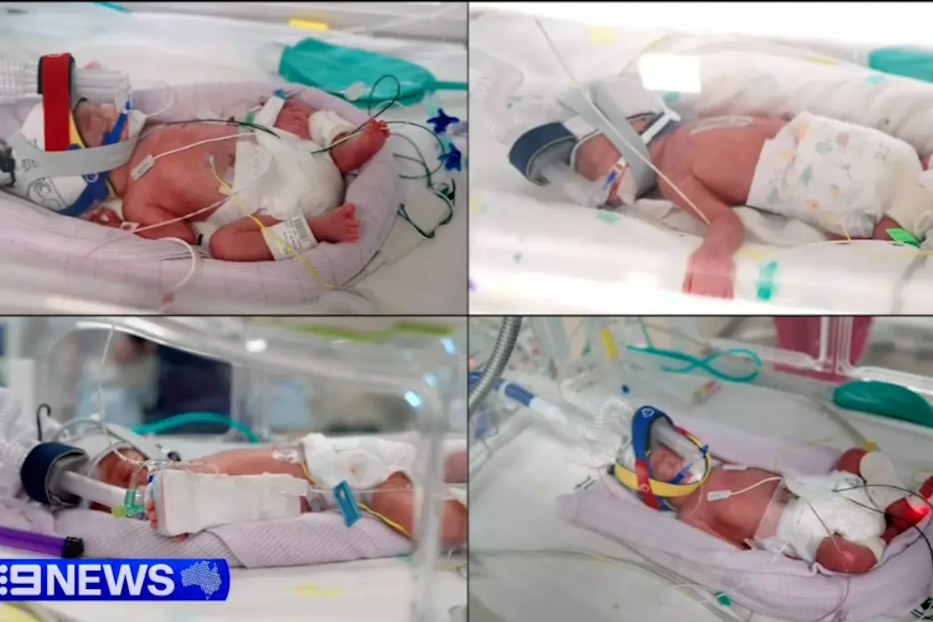 Emily, Harriet, Alexa und Catherine heißen die Wunderbabys. Die eineiigen Vierlingsmädchen auf der Babystation, wie sie der Sender 9News zeigte.