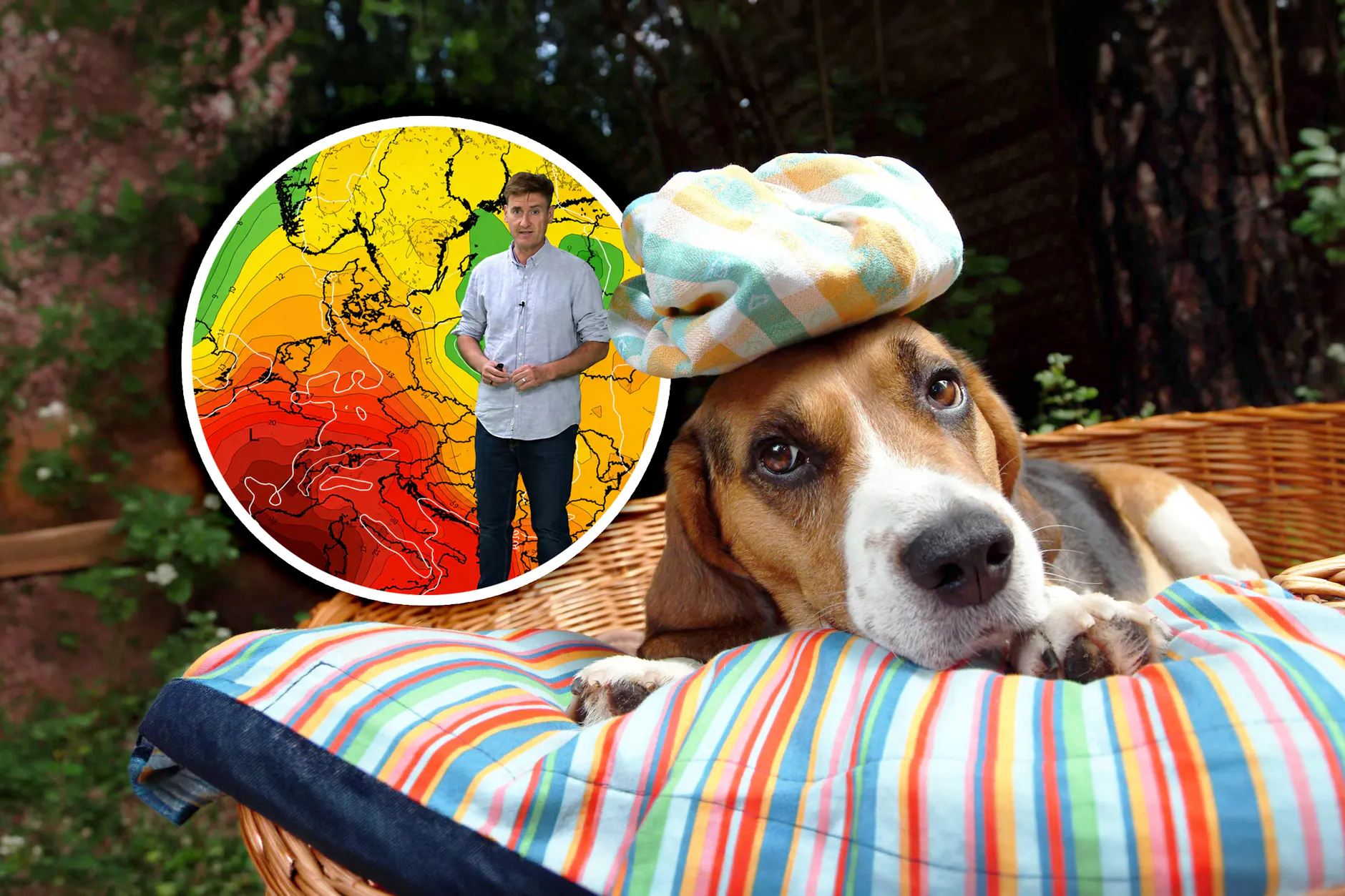 Schlägt an den Hundstagen die hitze nochmal ordentlich zu? Zumindest in Teilen Deutschlands könnte die 40-Grad-Marke in der kommenden Woche wieder geknackt werden.
