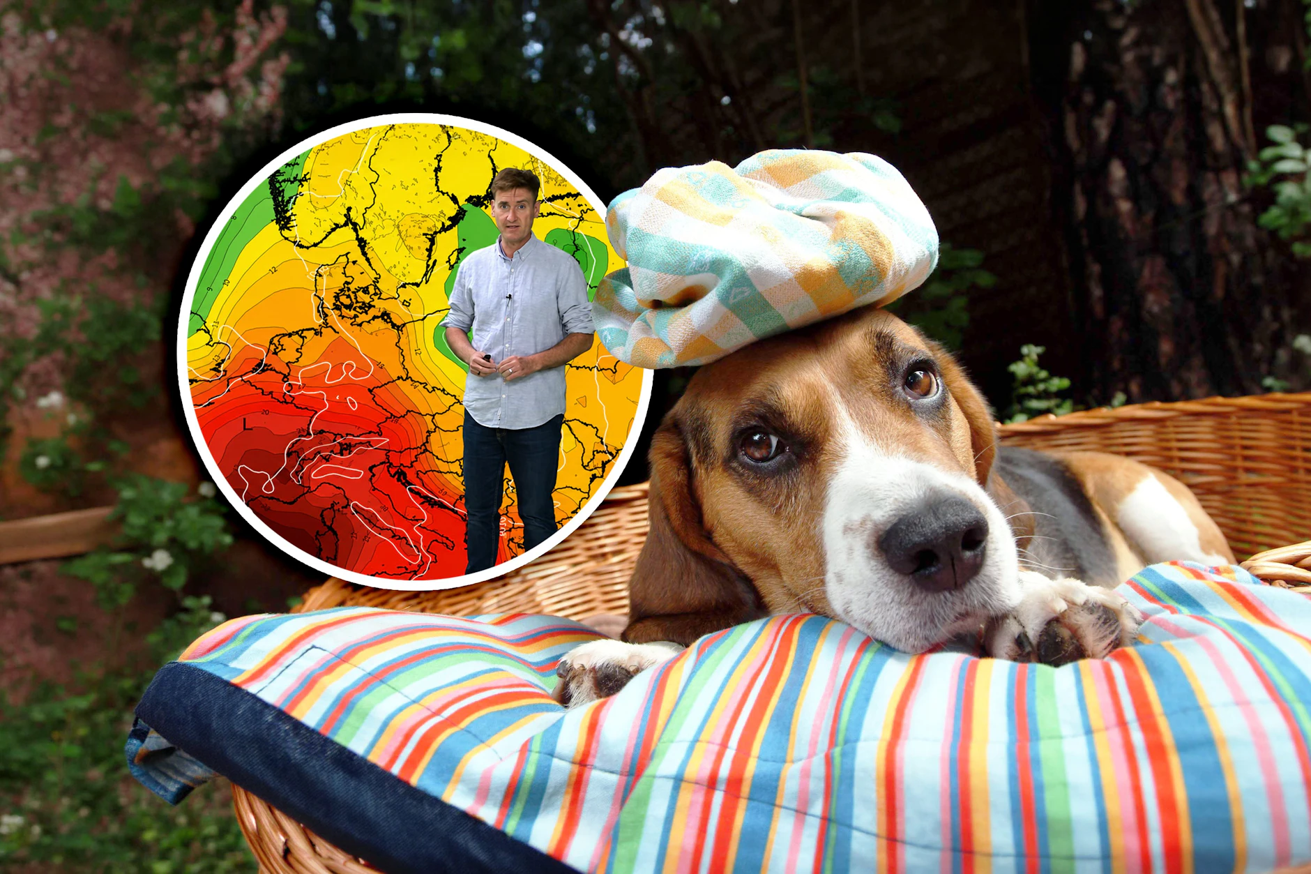 Schlägt an den Hundstagen die hitze nochmal ordentlich zu? Zumindest in Teilen Deutschlands könnte die 40-Grad-Marke in der kommenden Woche wieder geknackt werden.