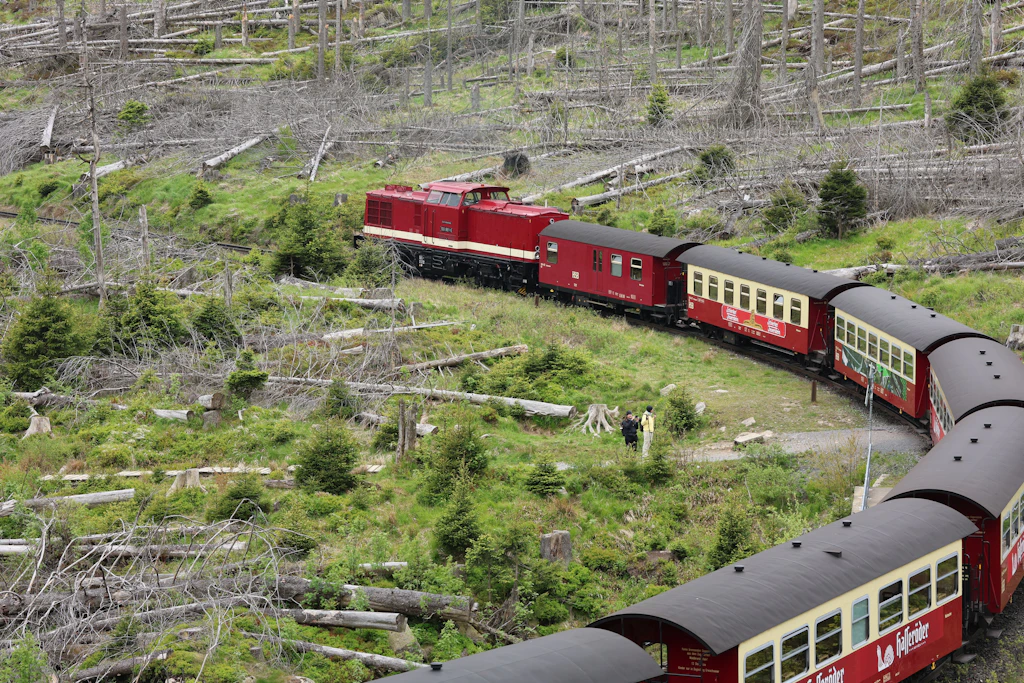 Ein Zug der Harzer Schmalspurbahnen GmbH (HSB) fährt mit einer Diesellok bespannt auf den Brocken.