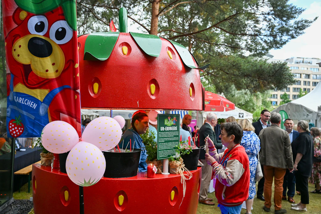 Ein Erdbeerstand von Karls beim MV-Sommerabend in der Landesvertretung des Landes Mecklenburg-Vorpommern.