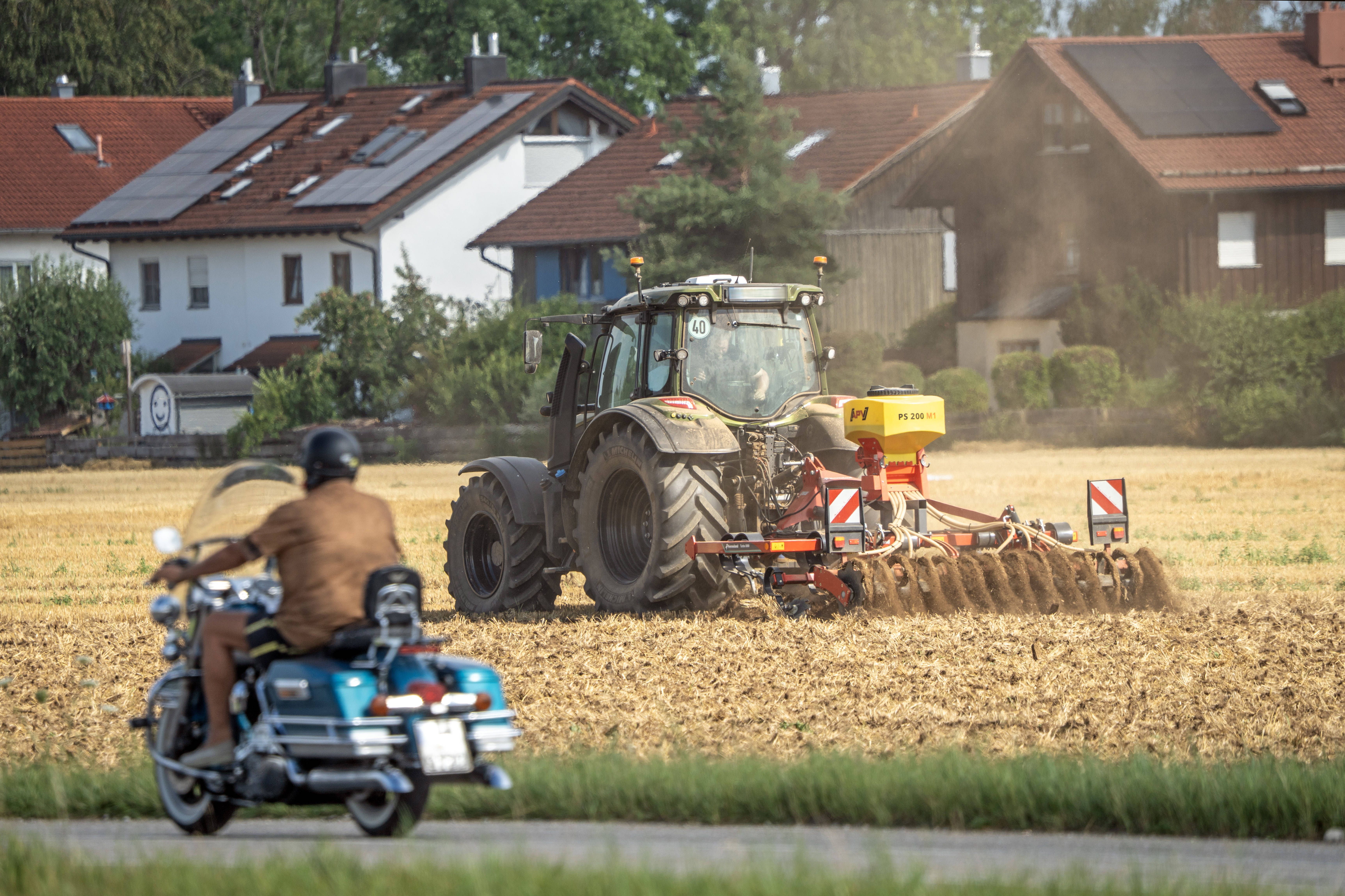 233 Millionen Euro Schaden: Rekordhitze kostet Deutschland 1,4 Millionen Tonnen Getreide