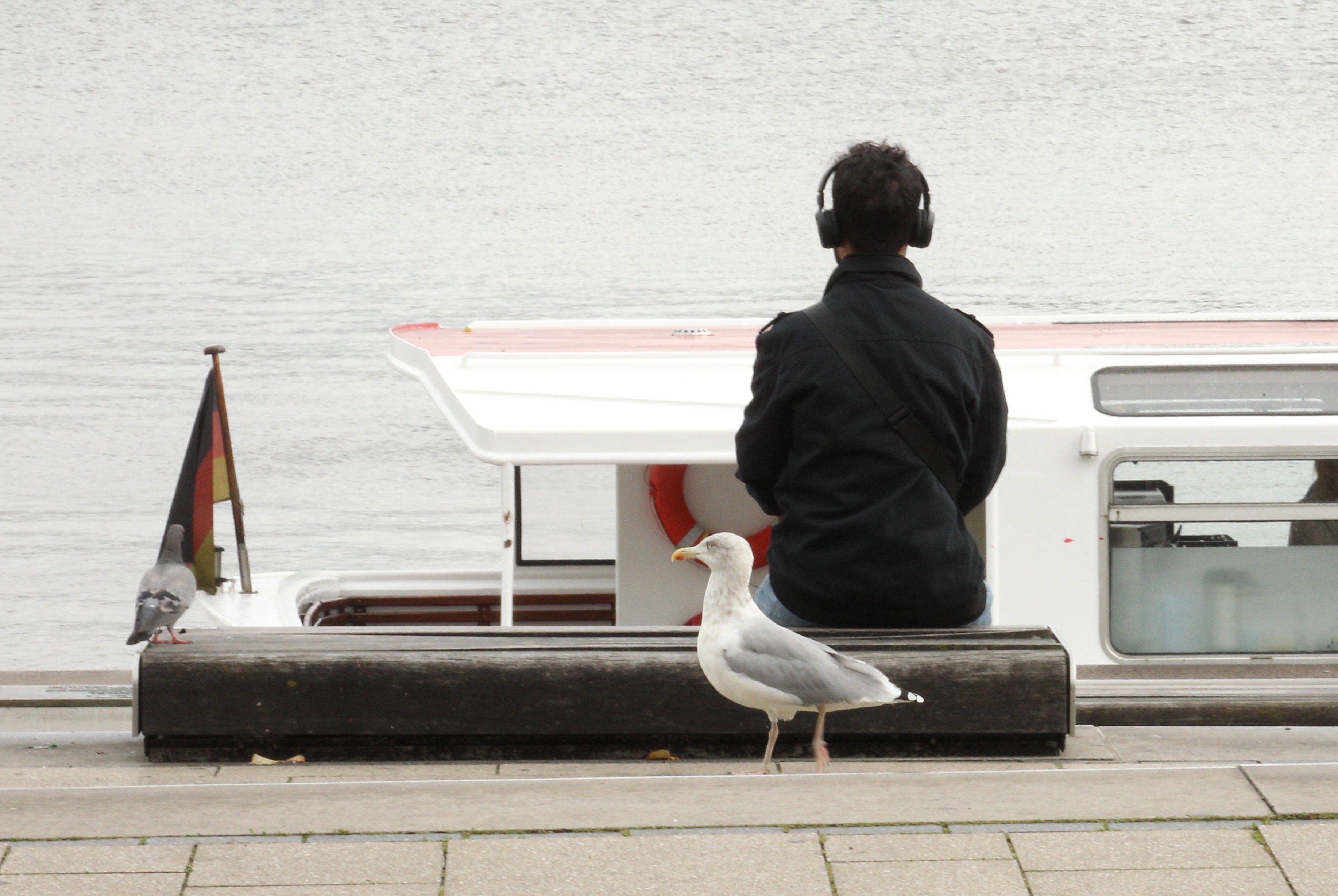 Rostock, Dresden und Leipzig: Warum im Osten so viele Menschen Single sind