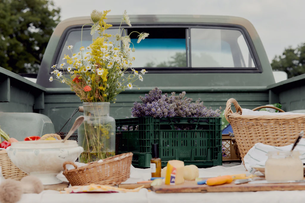 Ein Picknick im Lavendelstreifen: Auch das gibt es in Sachsen-Anhalt.
