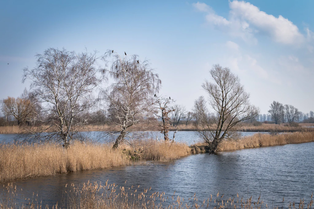 Das Storchenparadies Linum liegt auf der historischen Pilgeroute nach Bad Wilsnack.
