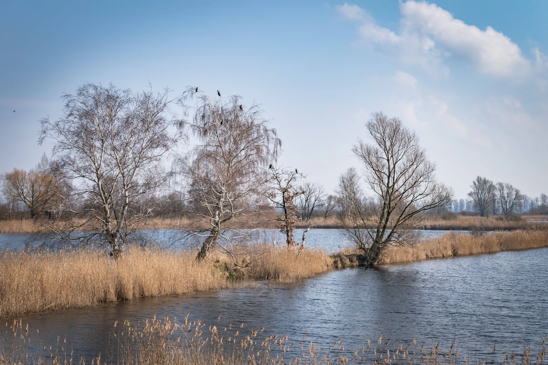 Das Storchenparadies Linum liegt auf der historischen Pilgeroute nach Bad Wilsnack.