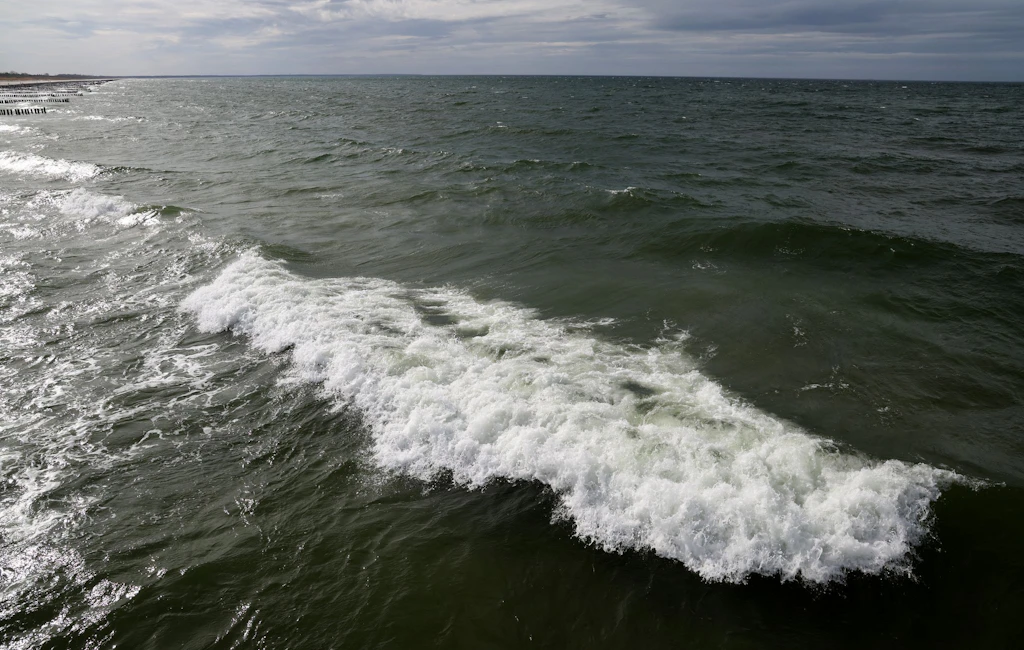 Erneute Walsichtung an der Ostseeküste