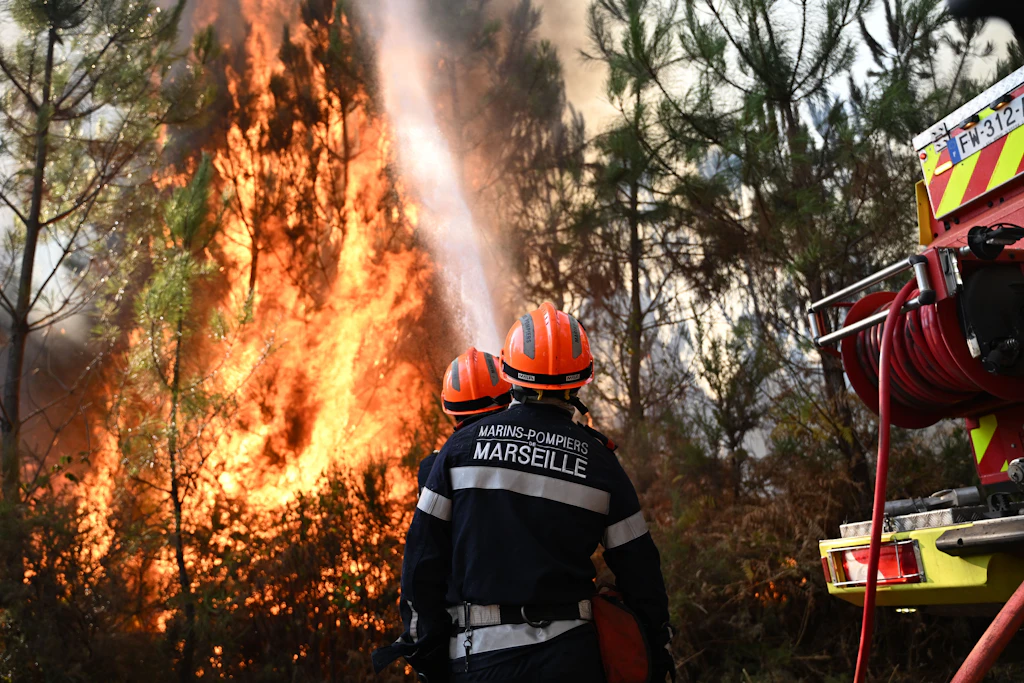 Waldbrände 2026: Wie groß ist der Einfluss des Klimawandels wirklich?