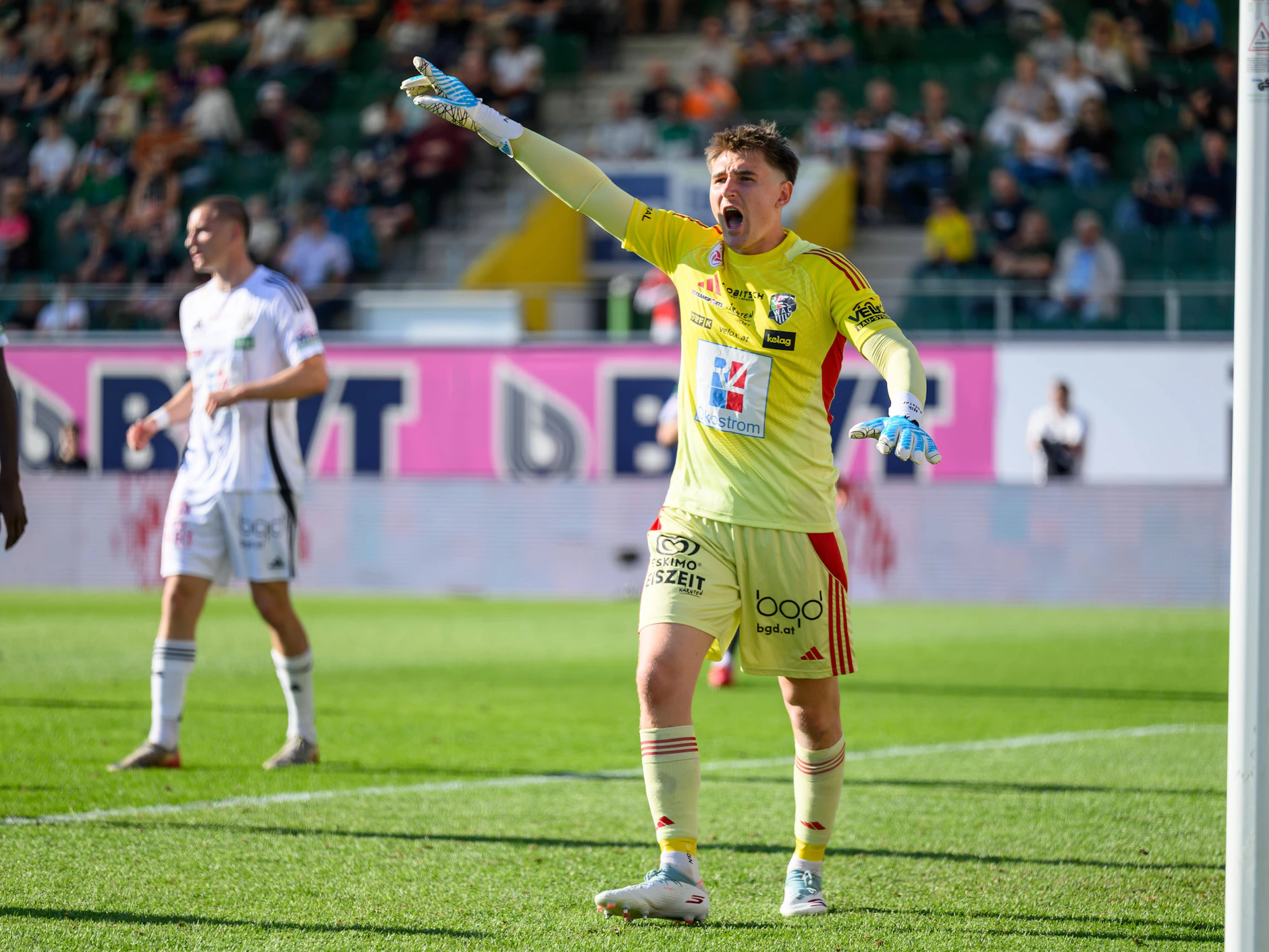 Hertha BSC hat Torwart Nikolas Polster vom Wolfsberger AC im Visier.
