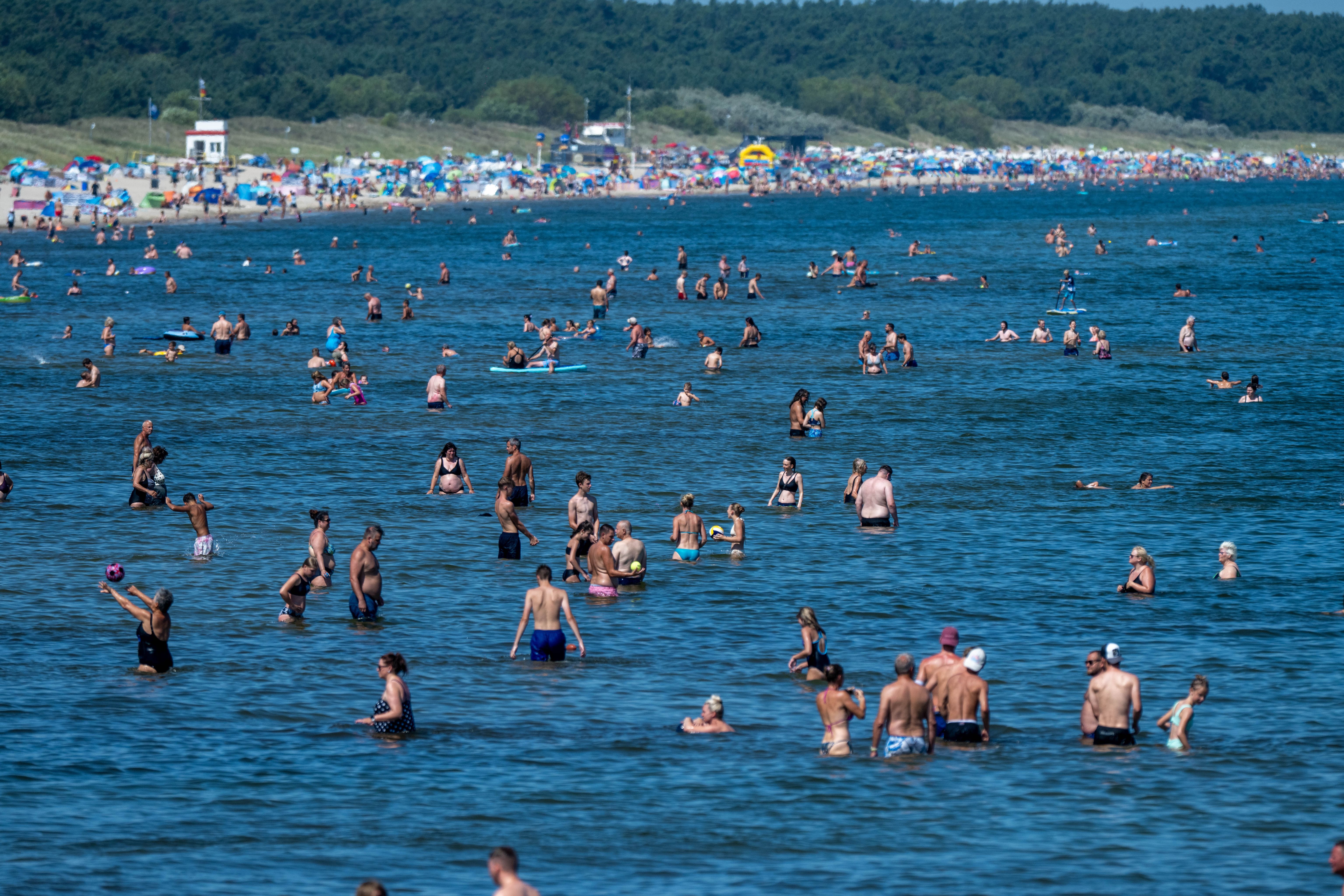 Sieben Personen nach Ostsee-Besuch erkrankt: Neue Vibrionen-Daten aus MV