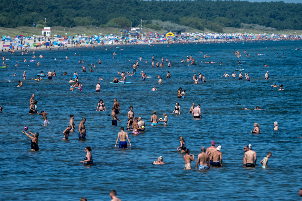 Sieben Personen nach Ostsee-Besuch erkrankt: Neue Vibrionen-Daten aus MV