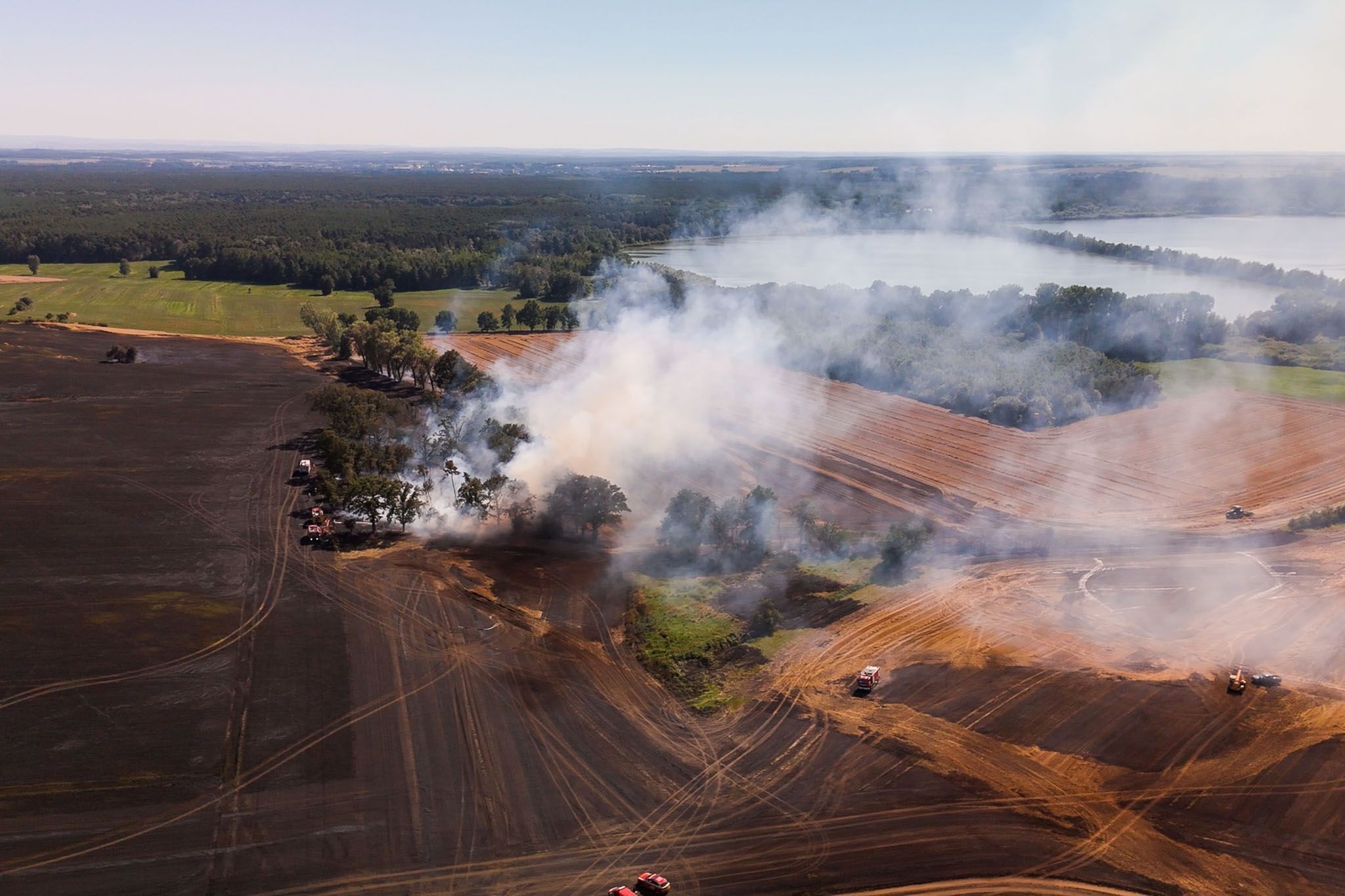 Waldbrand bei Meißen vernichtet 40 Hektar Weizenfeld – Polizei ermittelt wegen Brandstiftung